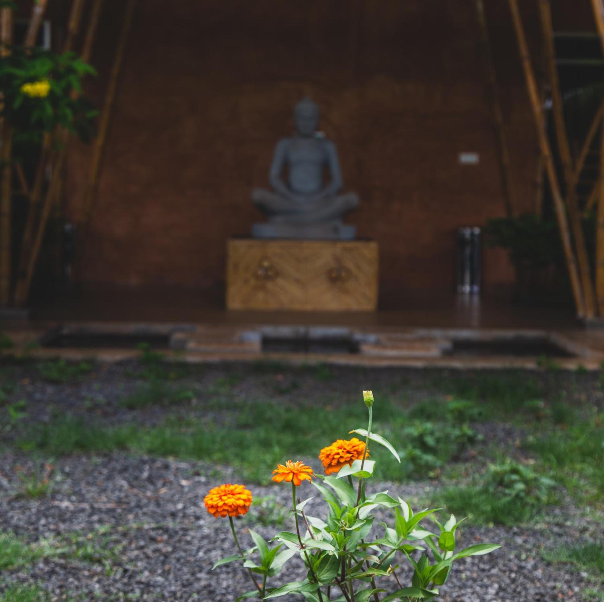 Hanchey Bamboo Resort Kampong Cham Dış mekan fotoğraf